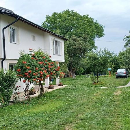 Gasthaus Casa Pandrea Cîrţişoara Exterior foto