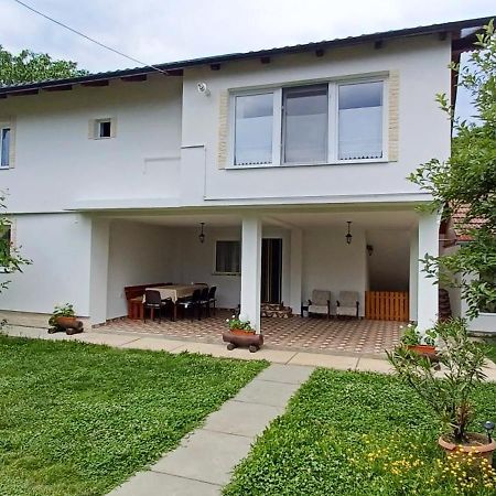 Gasthaus Casa Pandrea Cîrţişoara Exterior foto