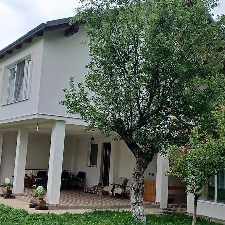 Gasthaus Casa Pandrea Cîrţişoara Exterior foto
