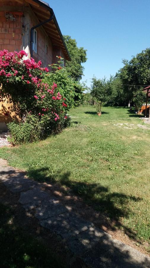 Gasthaus Casa Pandrea Cîrţişoara Exterior foto