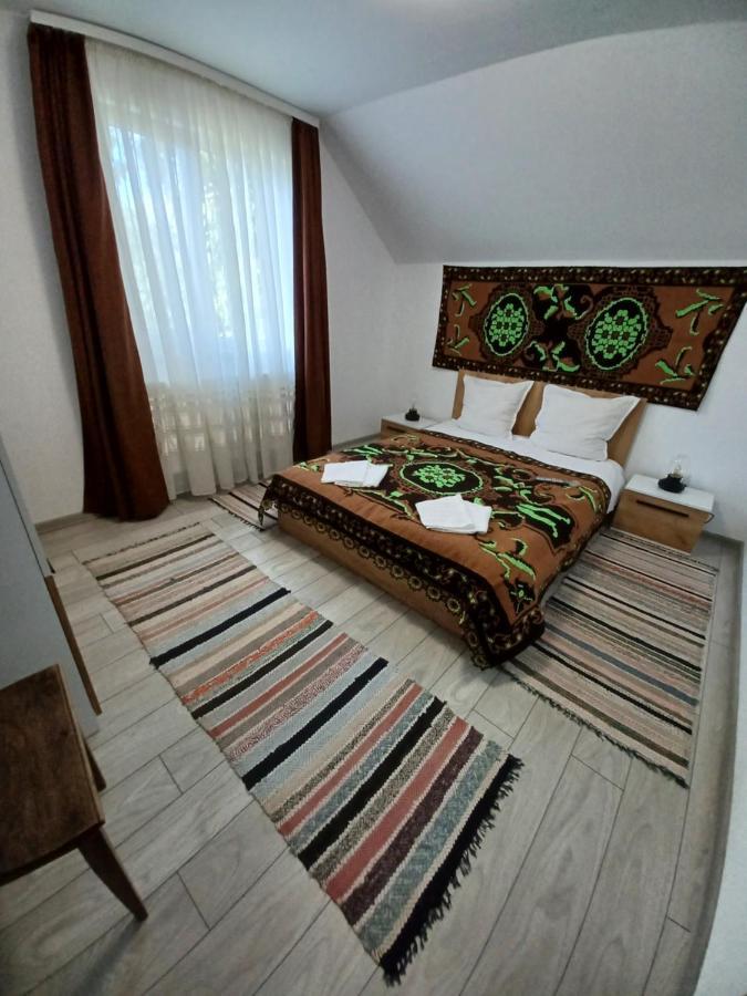 Gasthaus Casa Pandrea Cîrţişoara Exterior foto