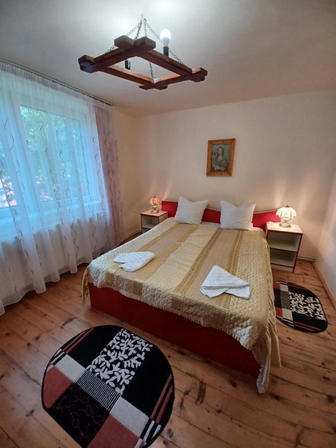 Gasthaus Casa Pandrea Cîrţişoara Exterior foto
