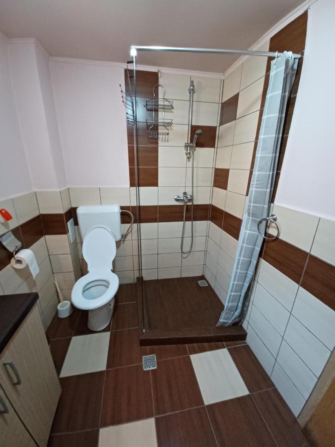 Gasthaus Casa Pandrea Cîrţişoara Exterior foto
