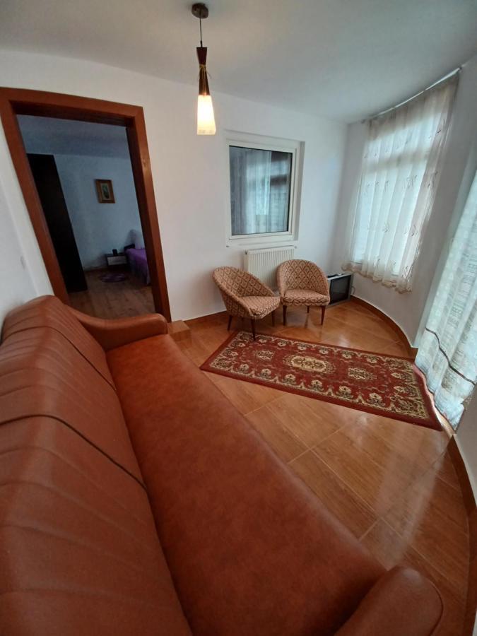 Gasthaus Casa Pandrea Cîrţişoara Exterior foto