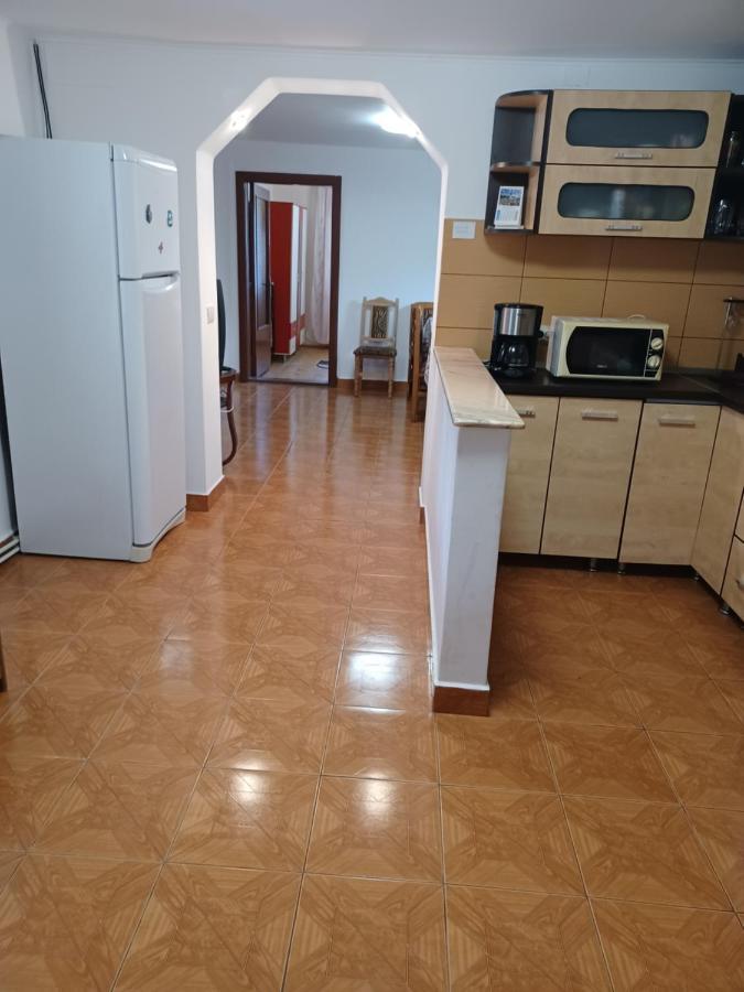 Gasthaus Casa Pandrea Cîrţişoara Exterior foto