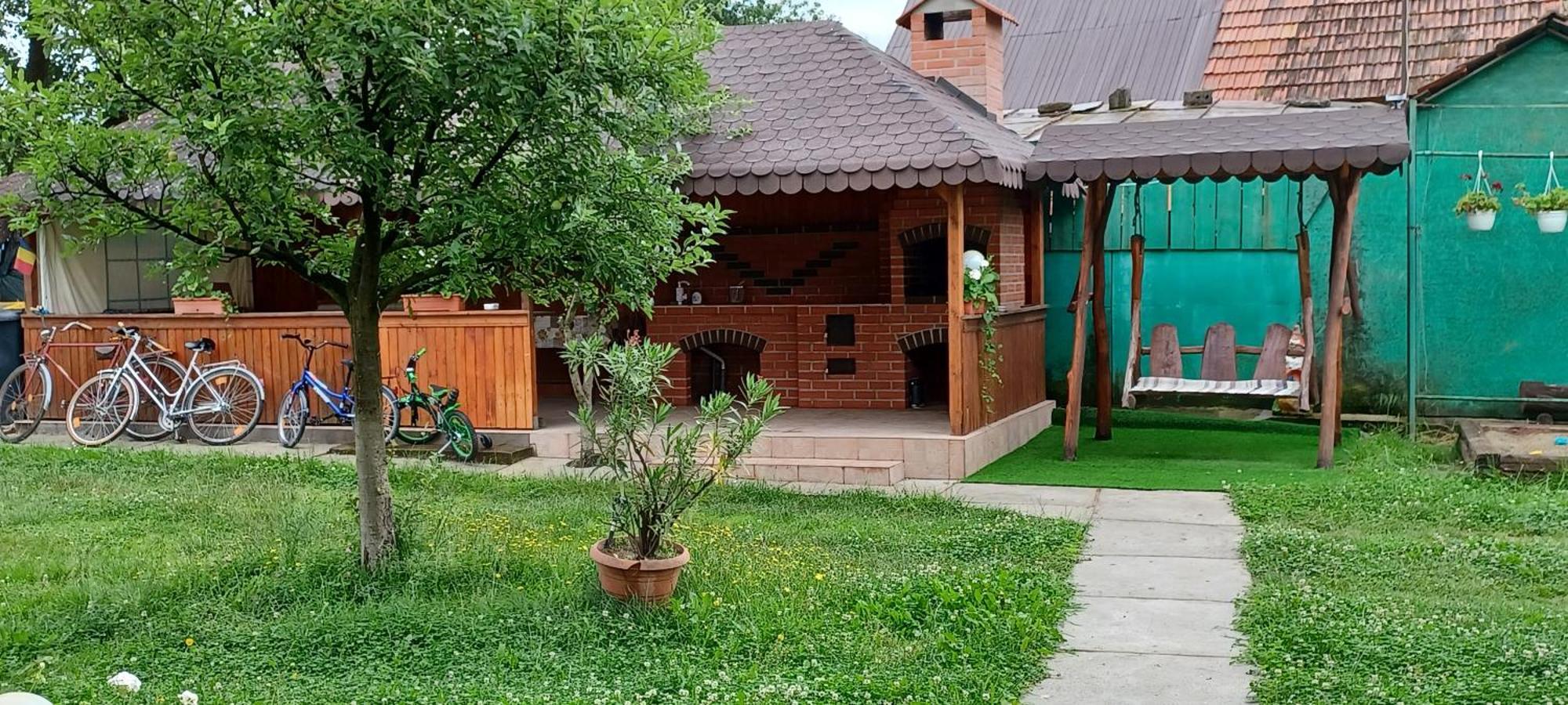 Gasthaus Casa Pandrea Cîrţişoara Exterior foto